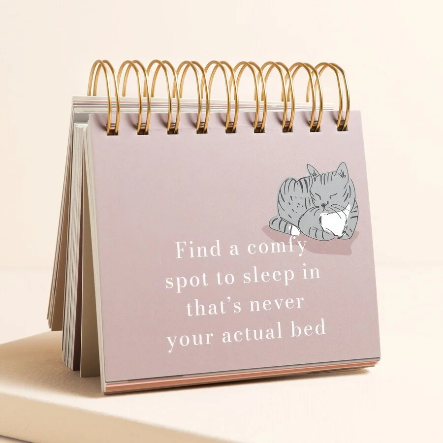 be-more-cat-desktop-flip-chart-79986-4x3a4956copy-900x900.jpeg