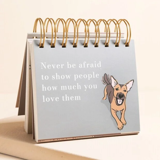 be-more-dog-desktop-flip-chart-79983-4x3a4966copy-620x620.jpeg