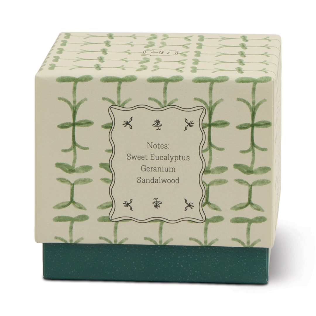 Paddywax Tulip Glass Candle - Verbena & Lemongrass3.png