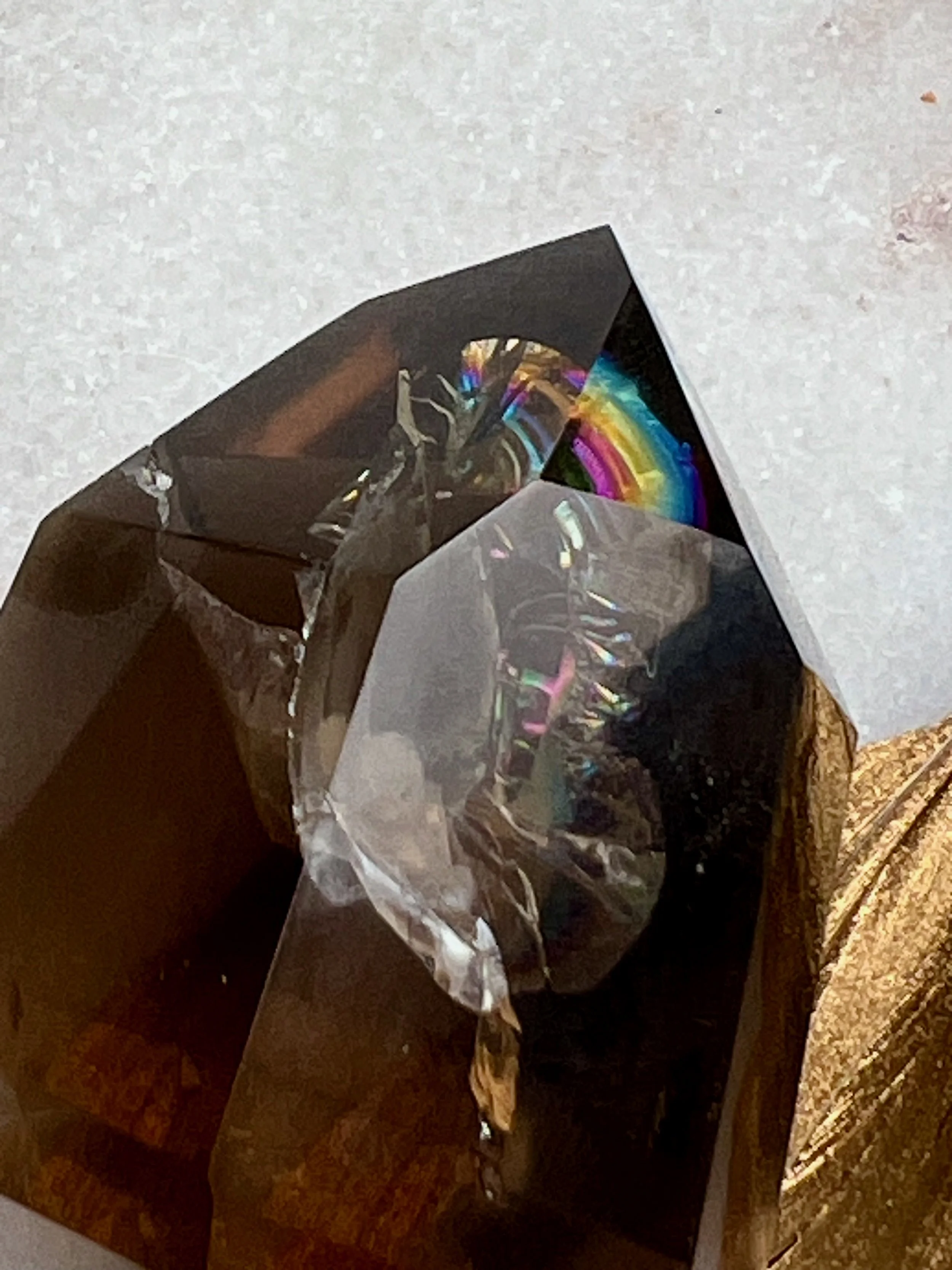 IMG_8993.jpeg