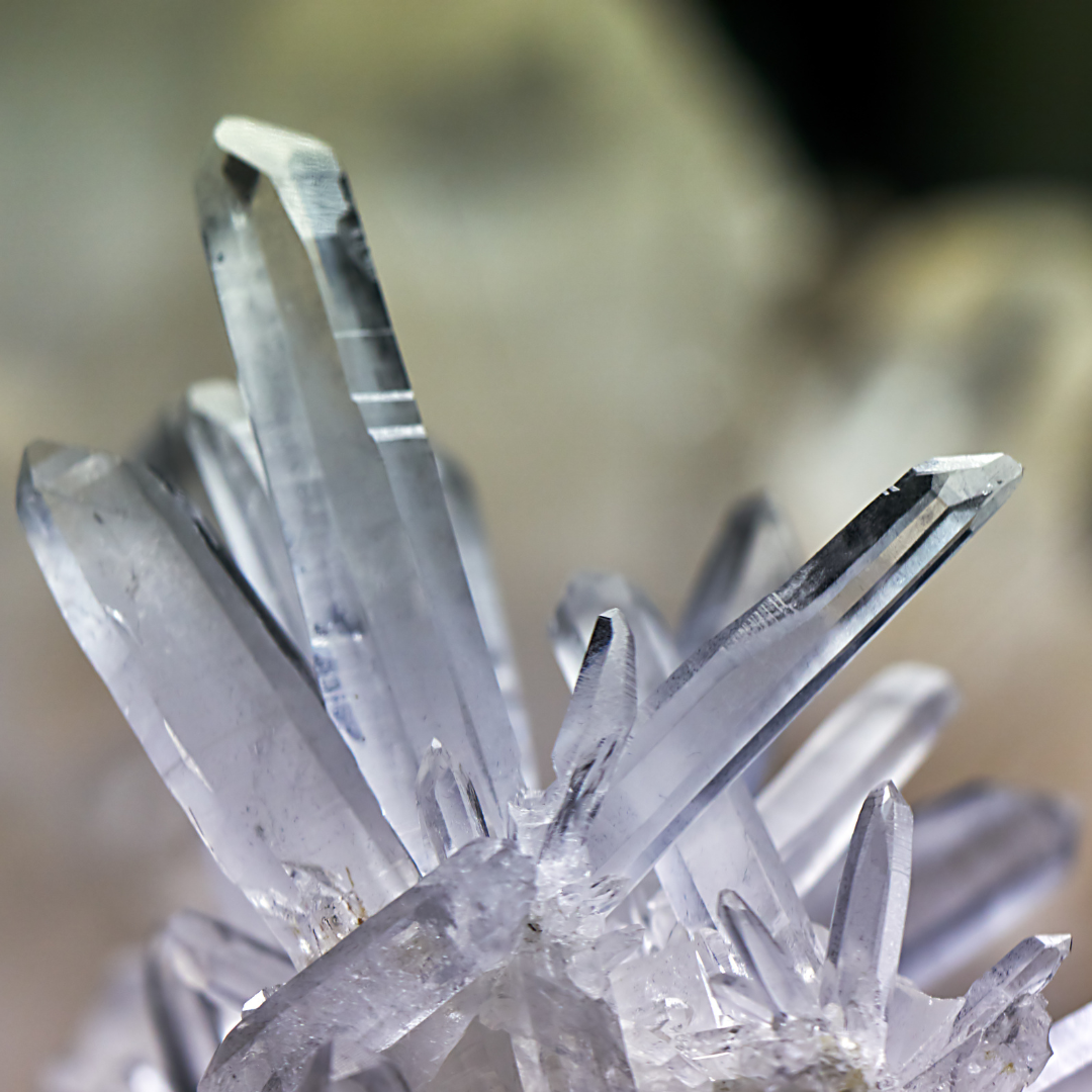 Blighs Meadow Market, Sevenoaks 