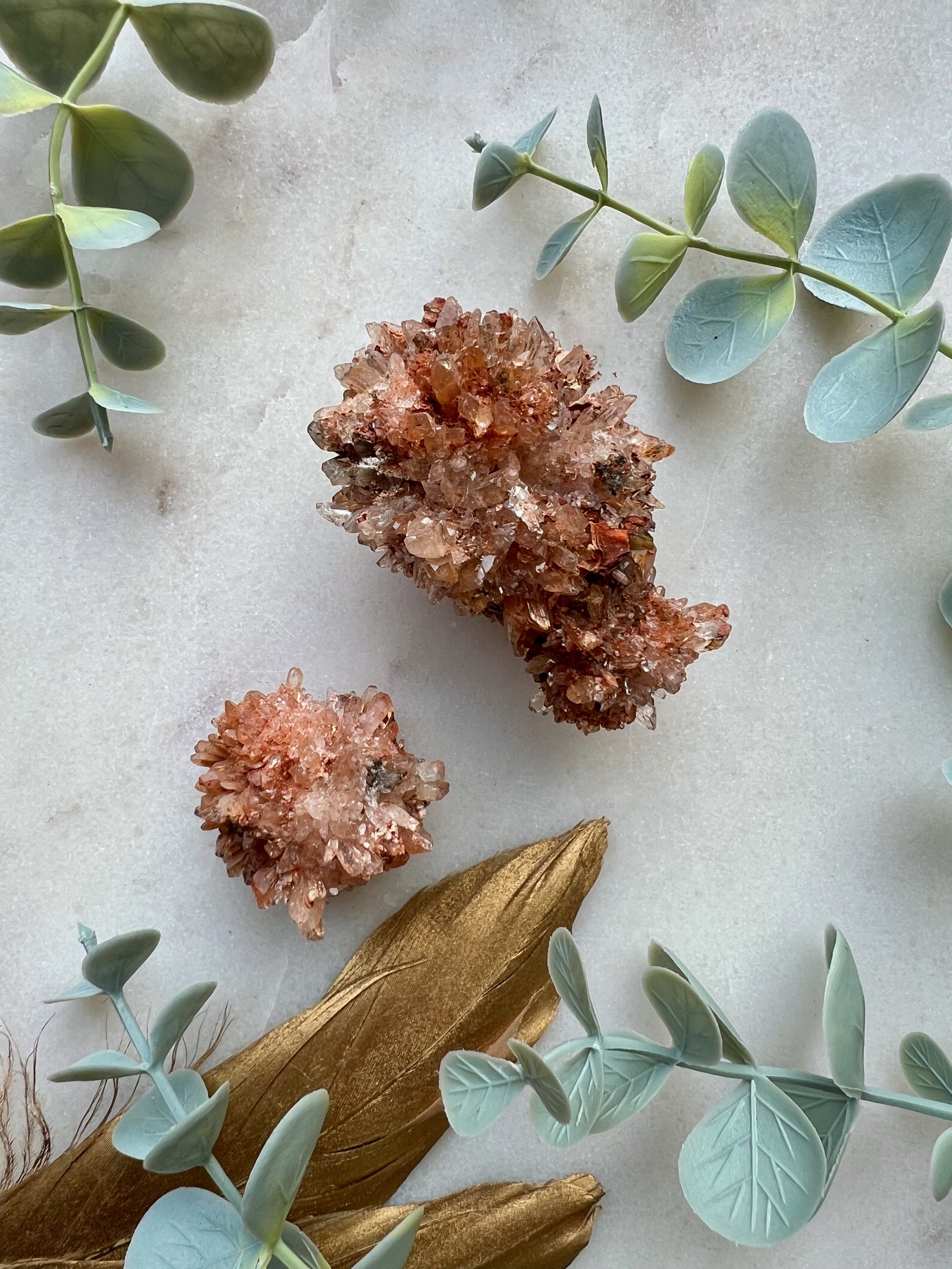 Creedite