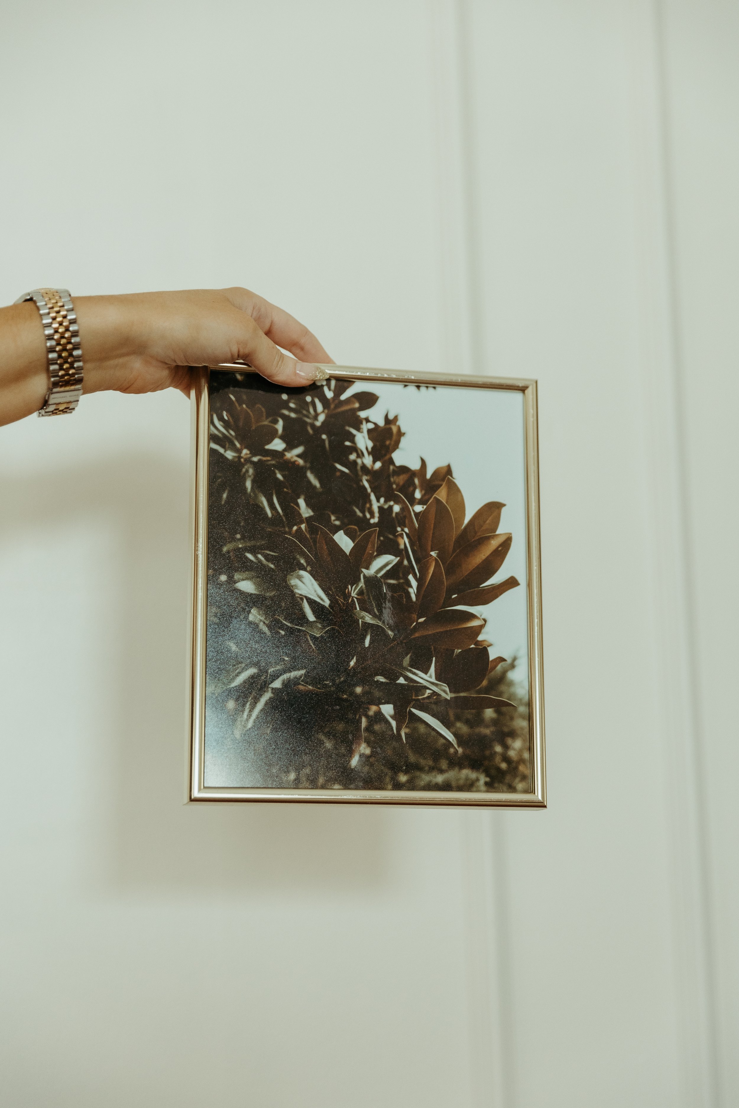 Framed Print - Fall Magnolia (1)