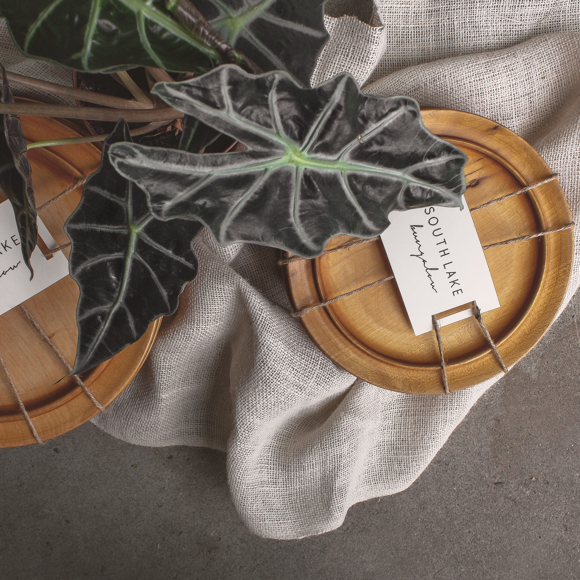 Original Product Photography and Product Design