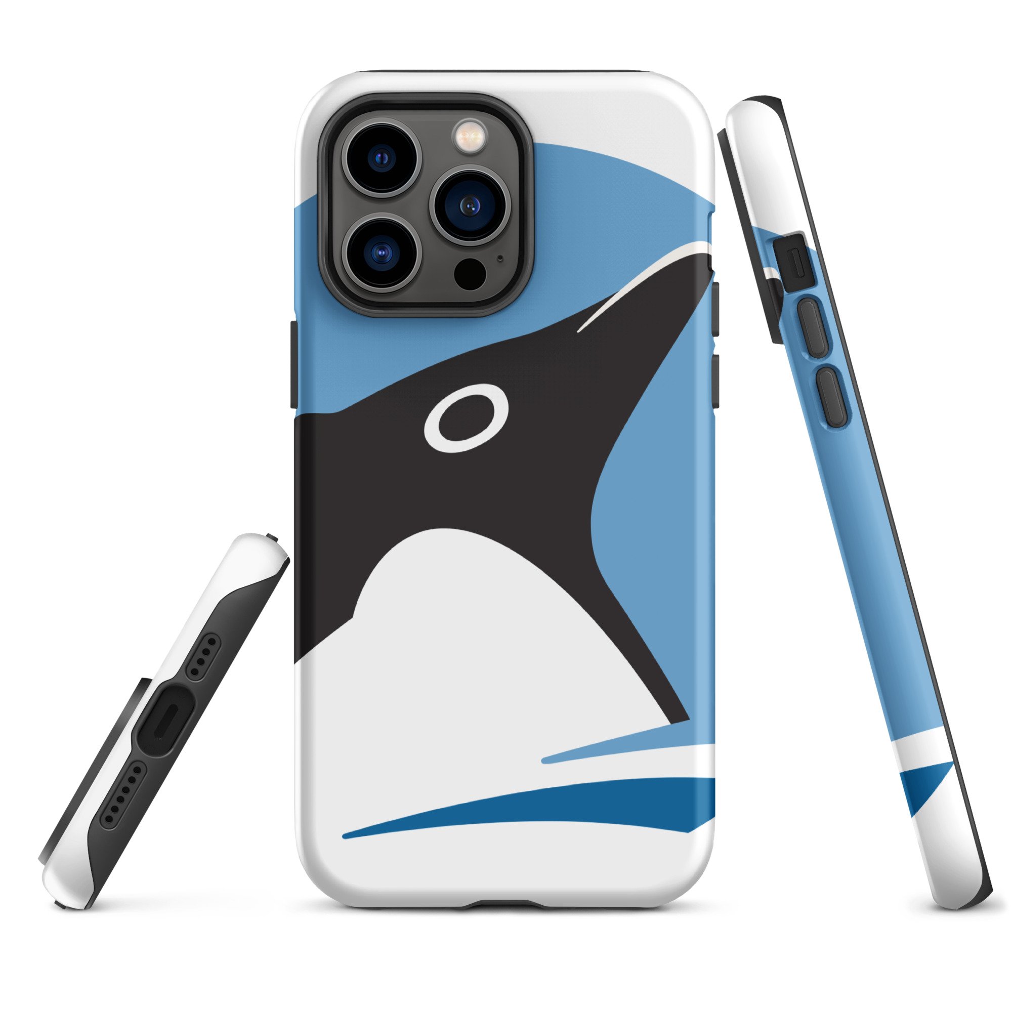 iPhone case