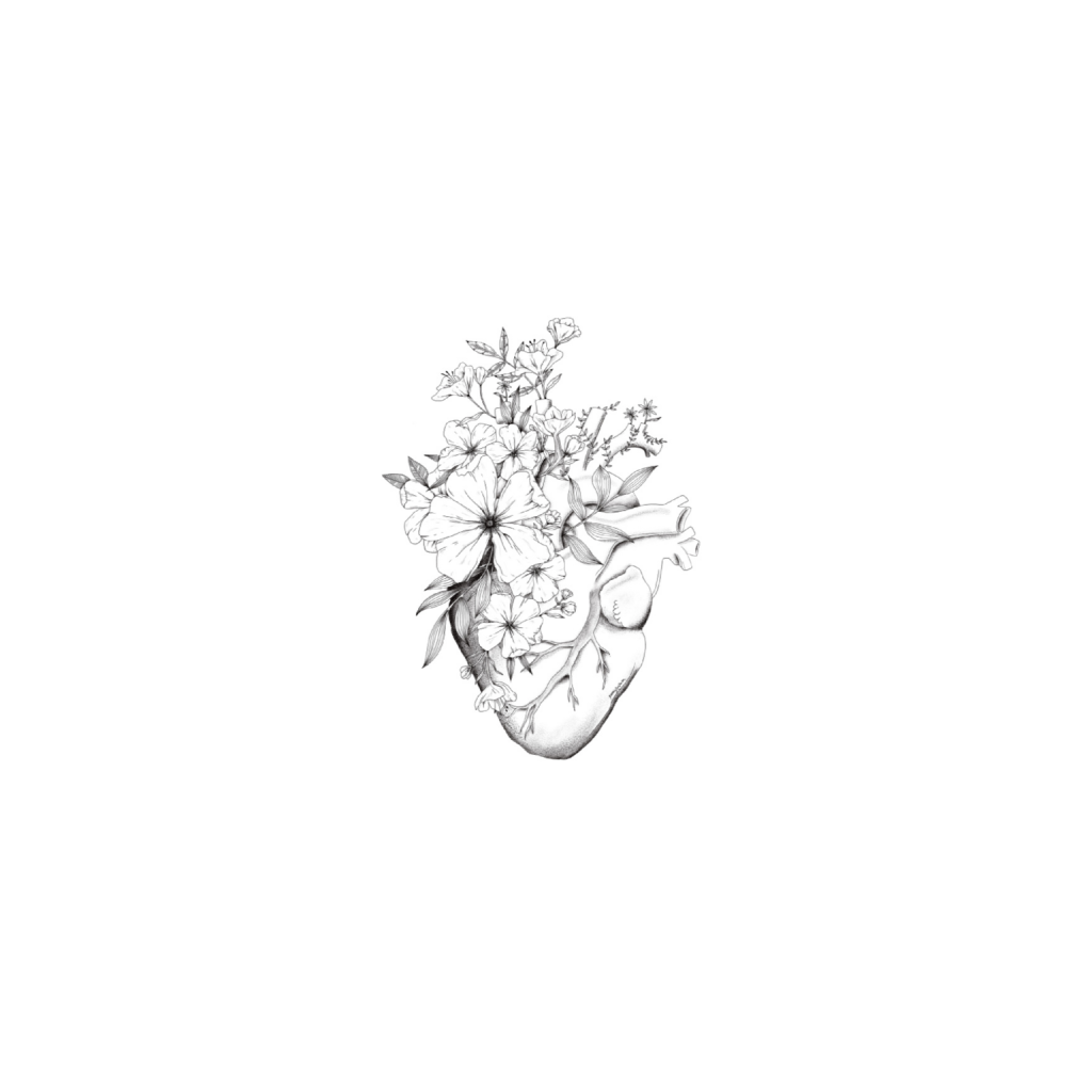 ptq_1_6_0_37_3300_4125_0_false_ffffff_0_0_.png