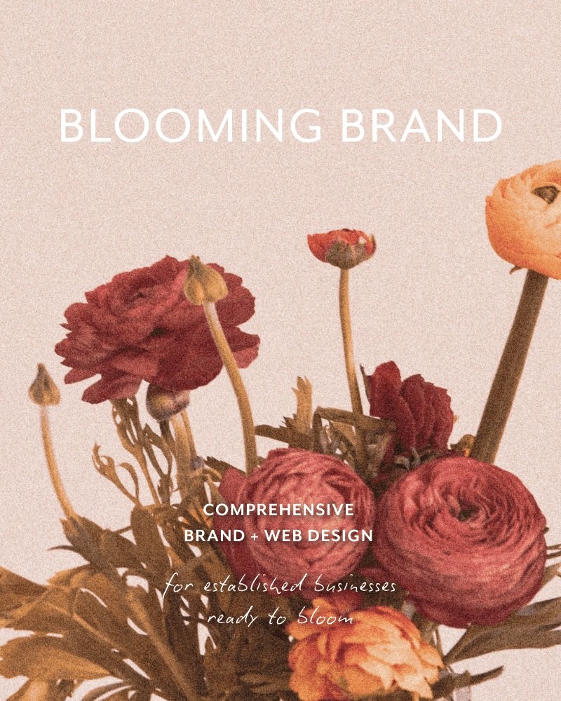 bouquet of ranunculus flowers blooming.