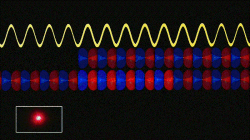 Interference — PrimerFusion