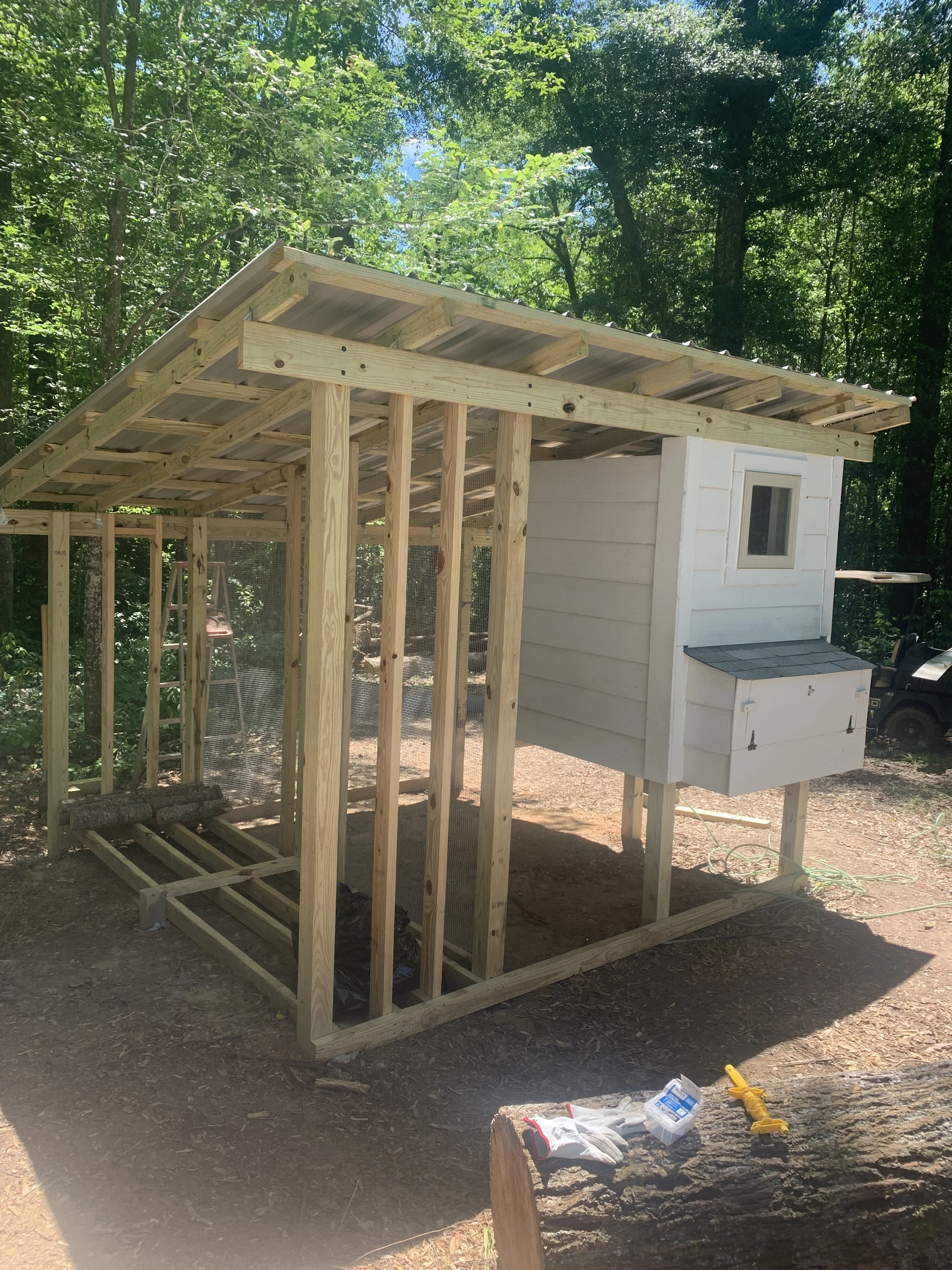 Custom built chicken coop