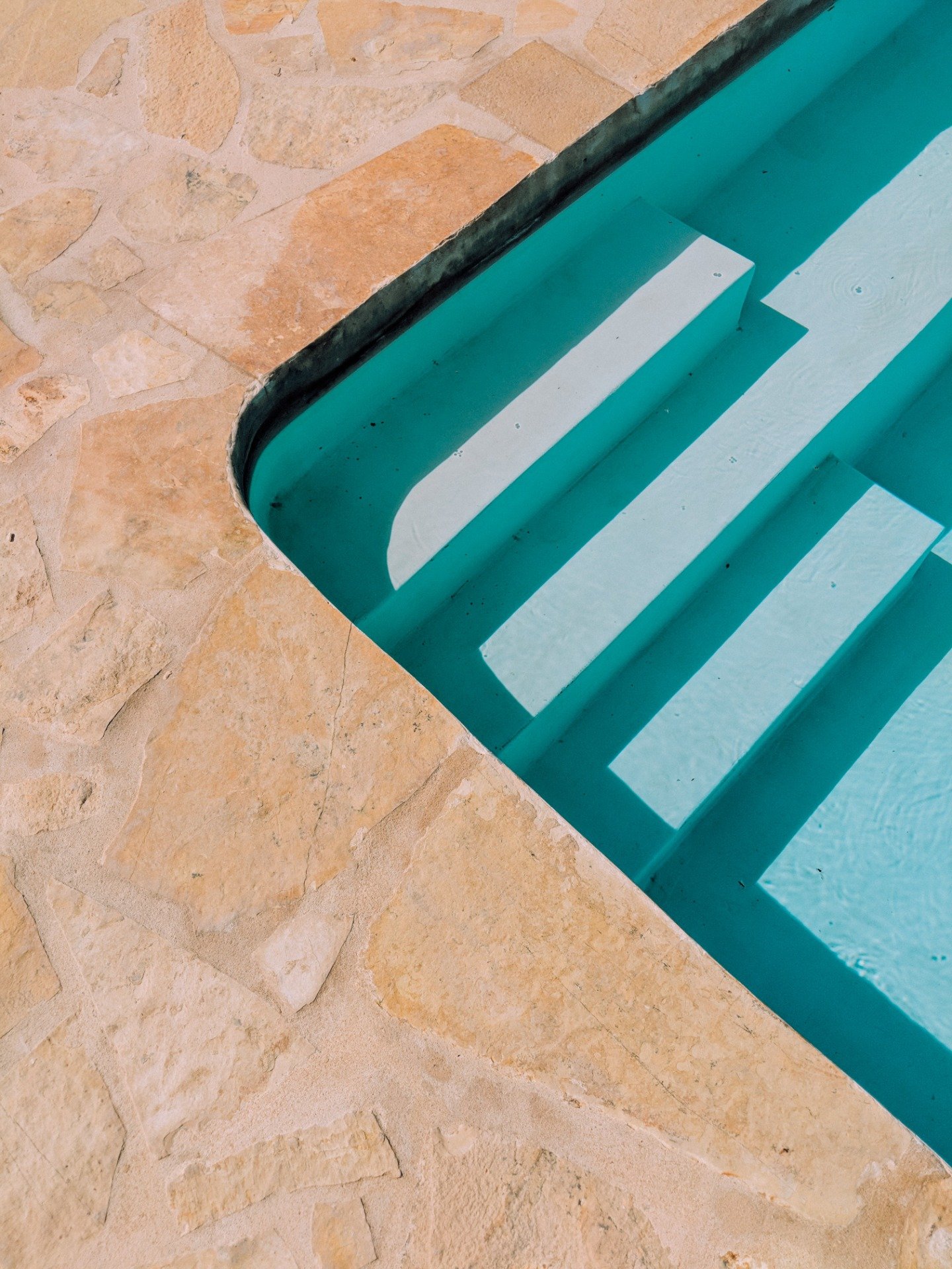 WhatsApp Image 2022-03-05 at 7.05.34 PM.jpeg