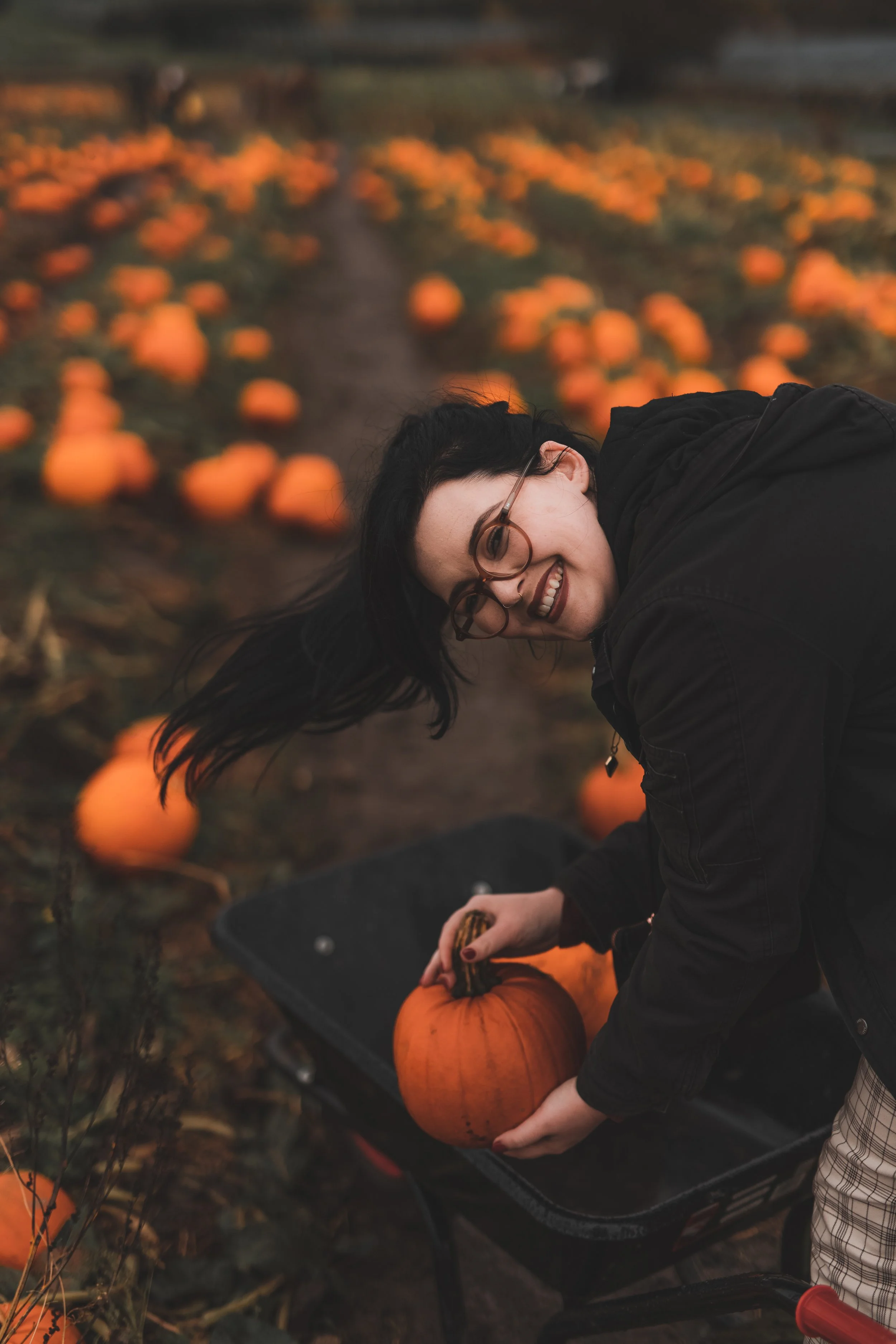 scotlandmagic_pumpkinpicking