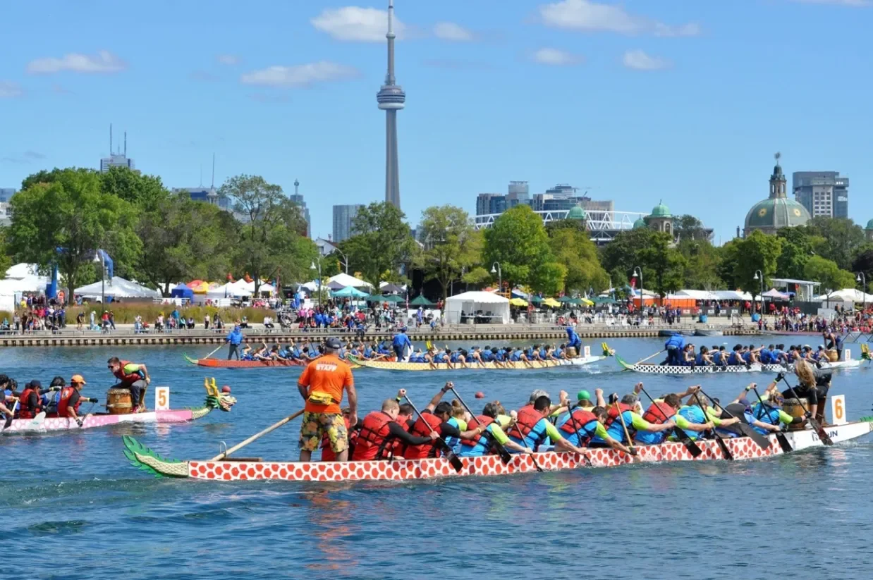 Toronto Dating Hub May Dragon Boat Experience &amp; Singles Social