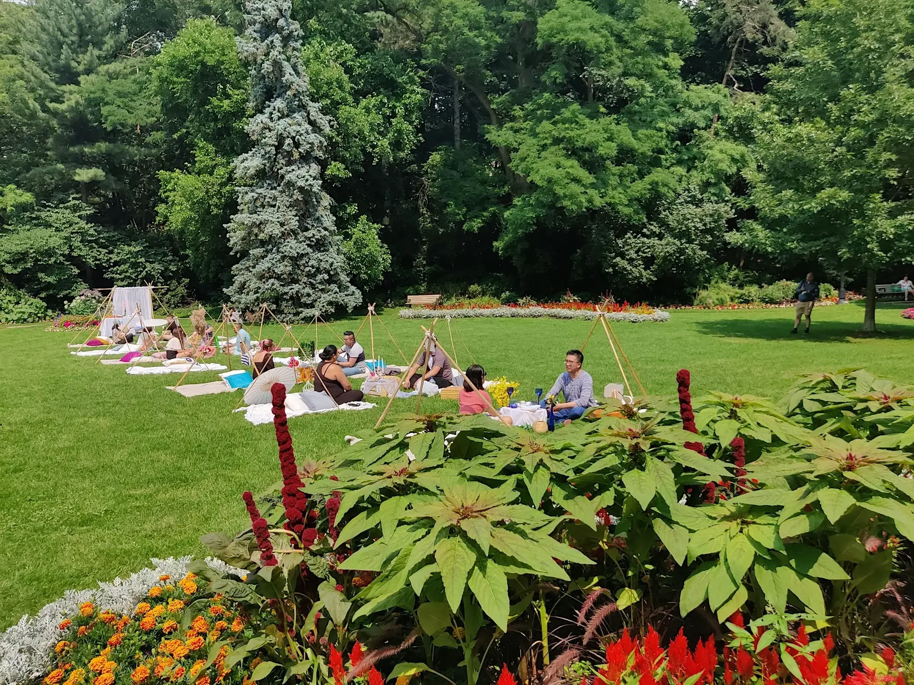 International Picnic Day + Pride Month Social Mixer