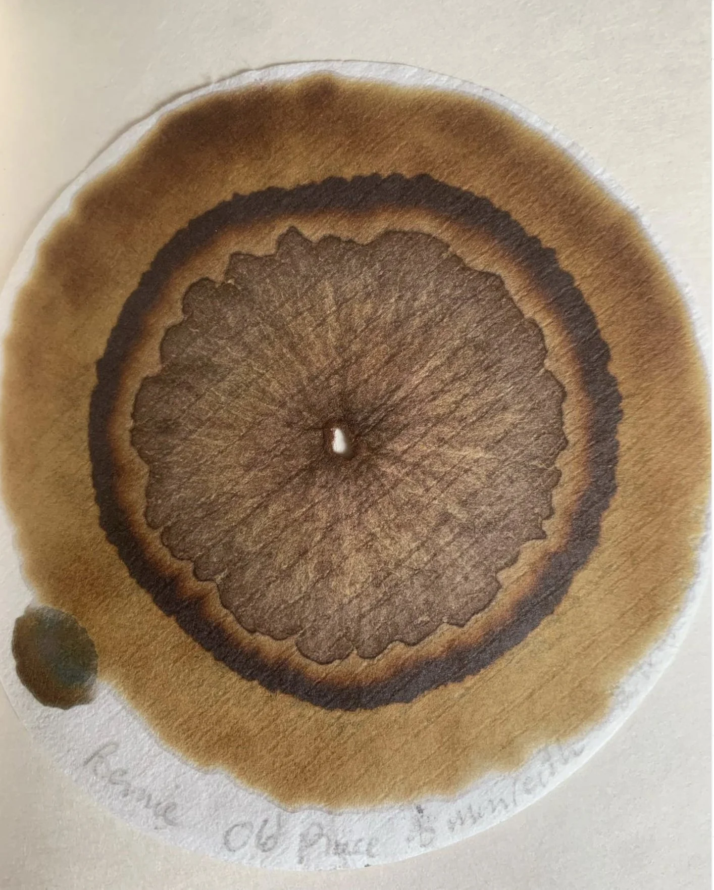 Screenshot 2023-10-10 at 15.38.jpeg