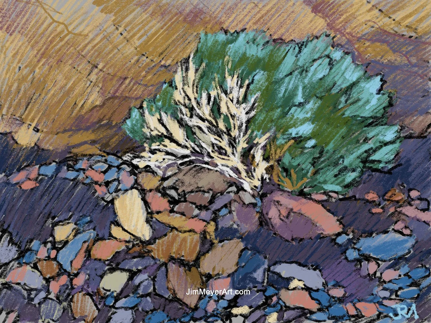 250913 Death Valley - Golden Canyon Sage