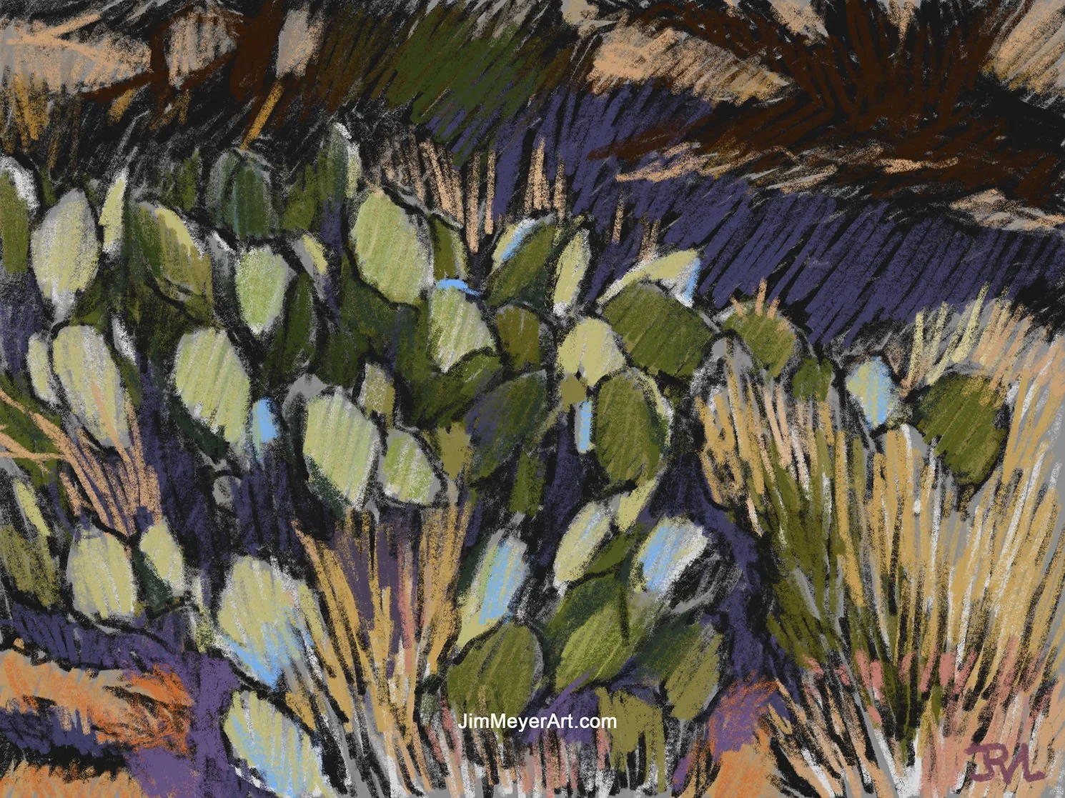 250714 CO Natl Monument - Prickly Pears