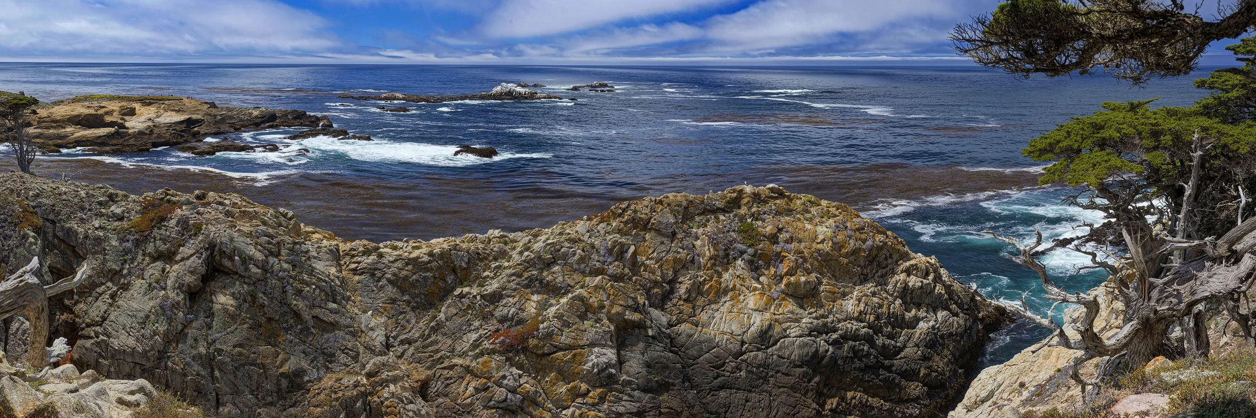 Bird Island Overlook - Point Lobos 201305_P02 - 65.9"