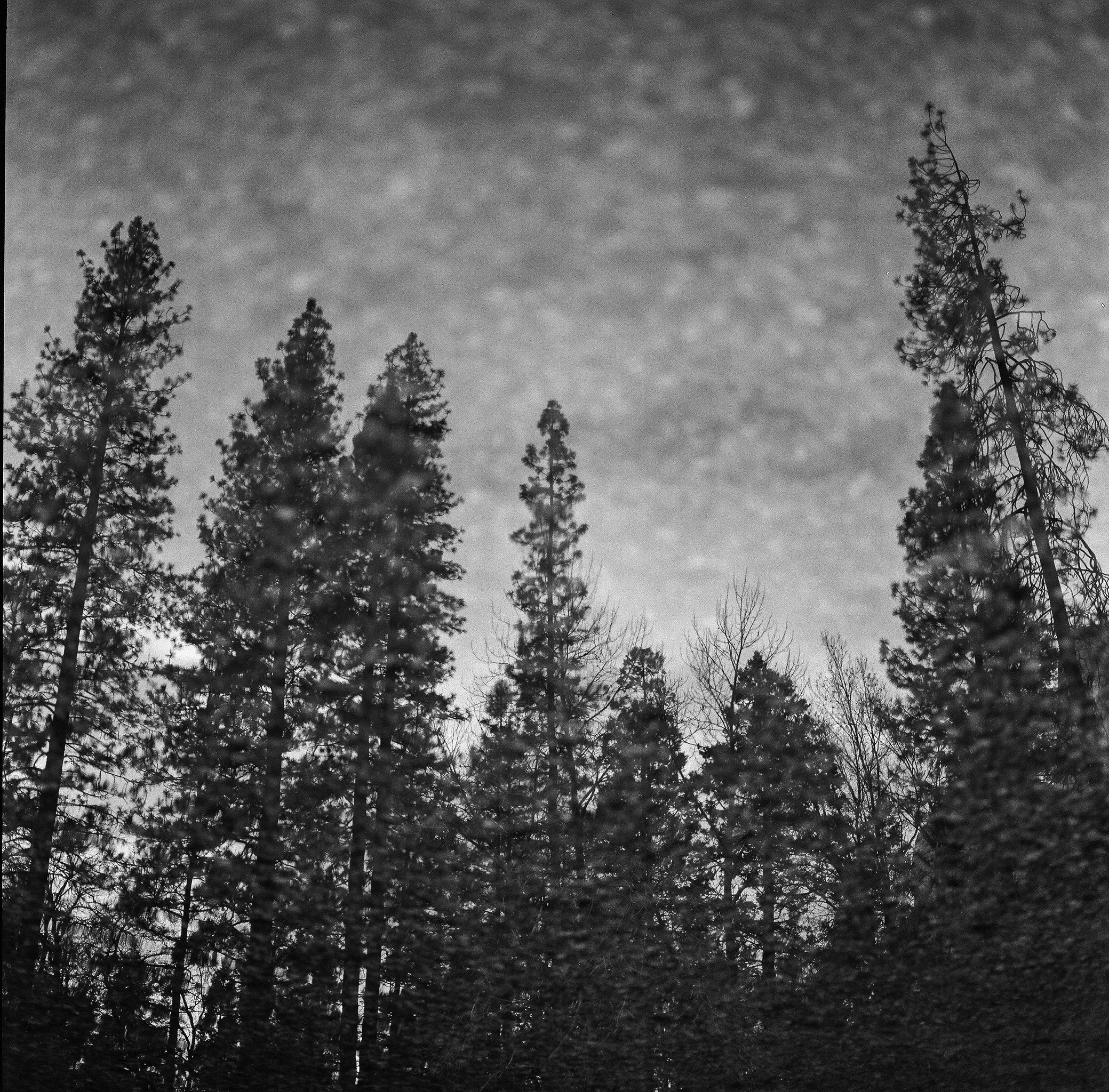 Reflections_ copy.jpg