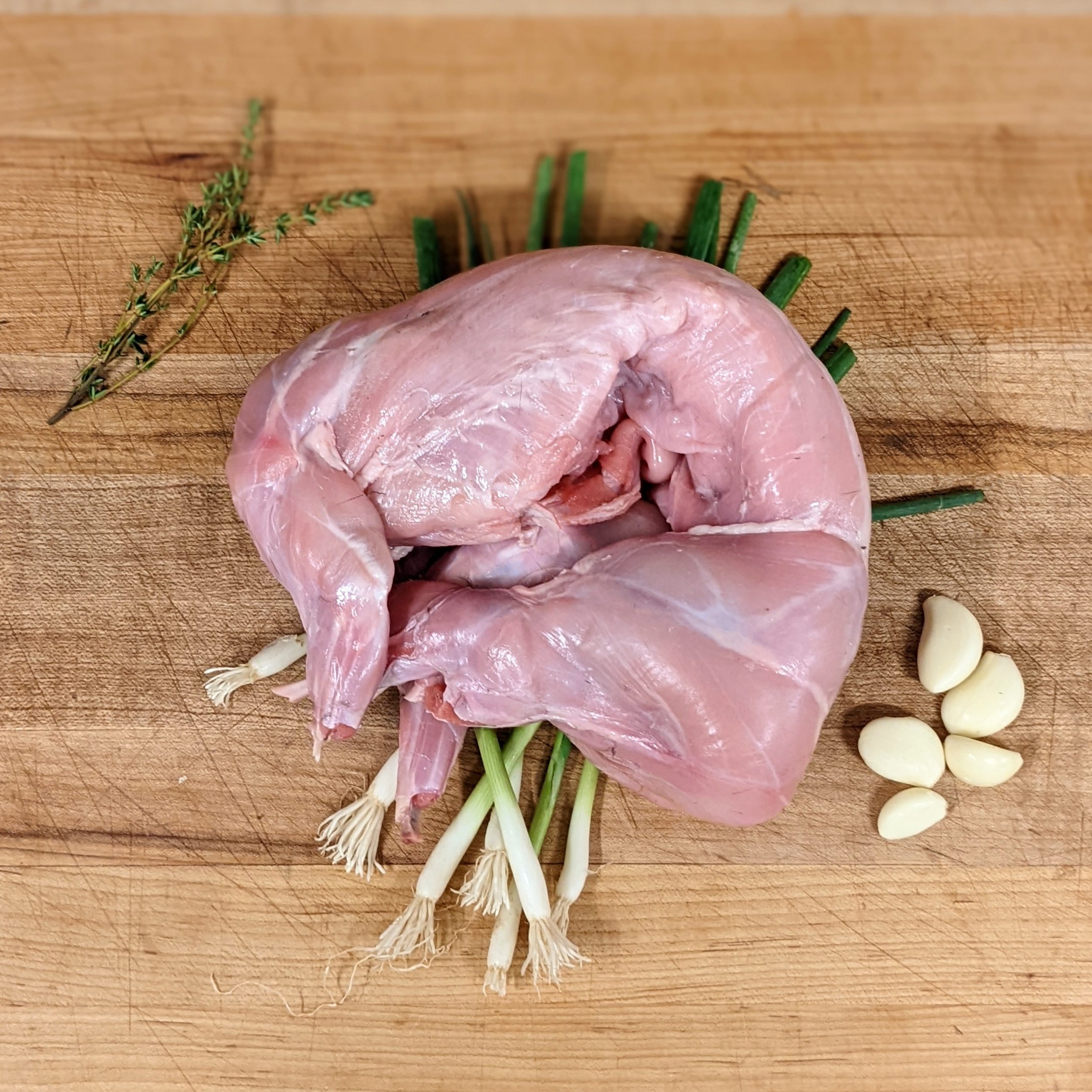 PXL_20211212_010459348.PORTRAIT~2 (1).jpg