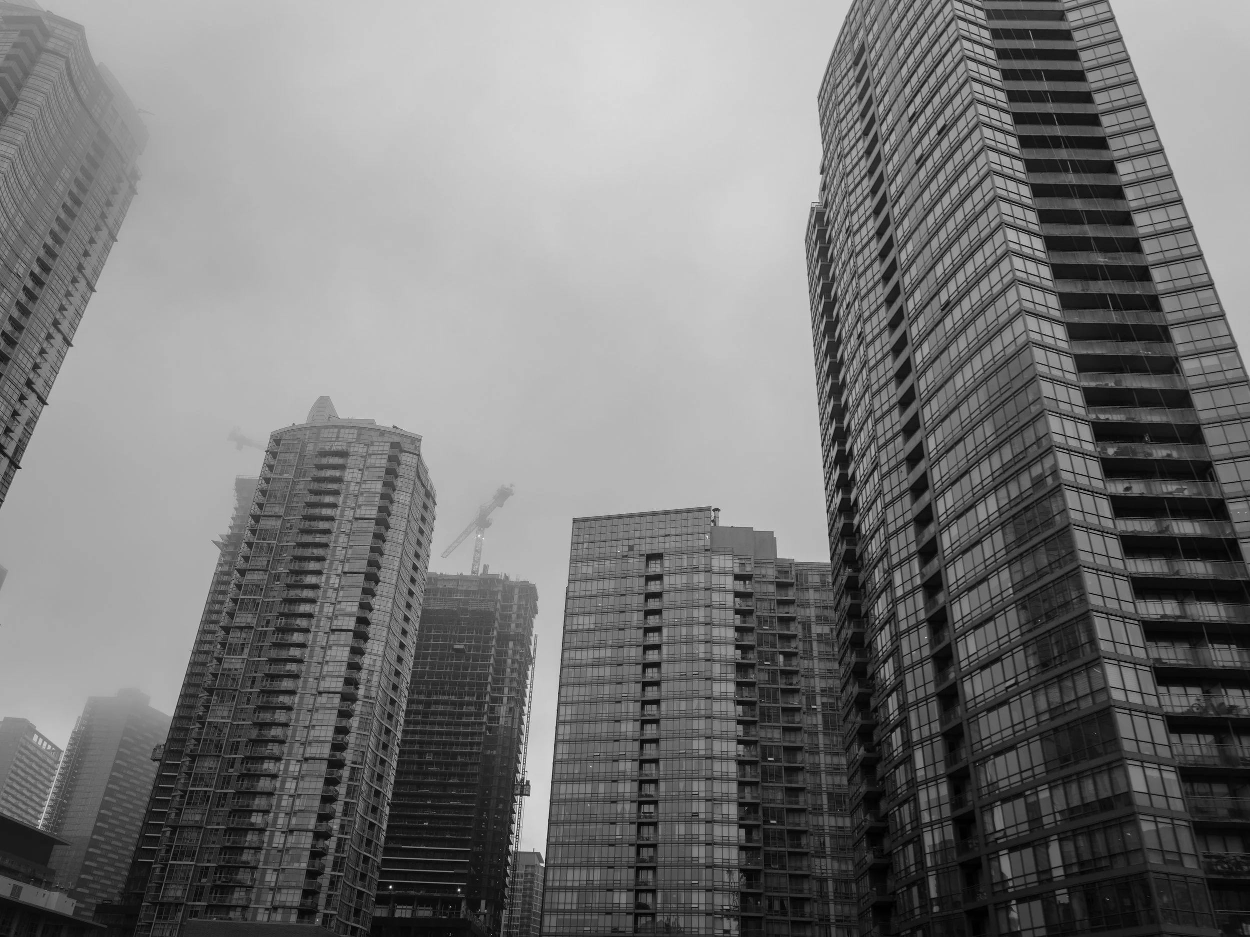 16-DSC00264.jpg