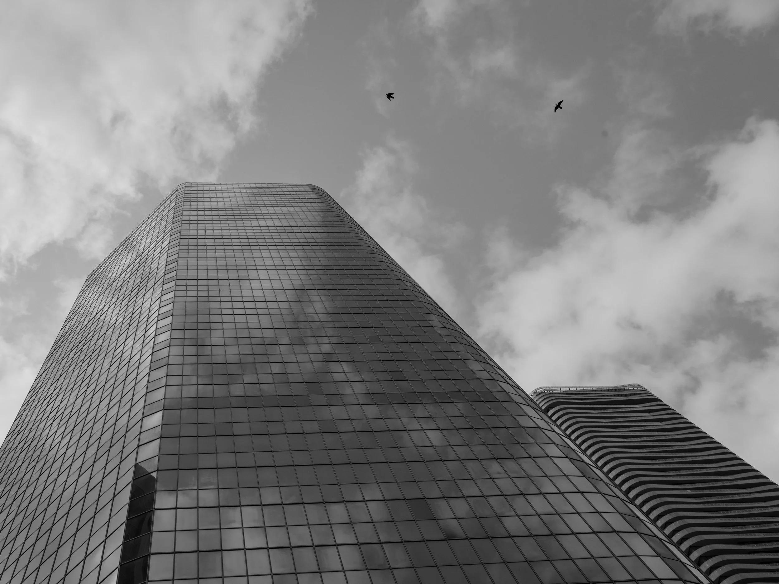 25-DSC00510.jpg