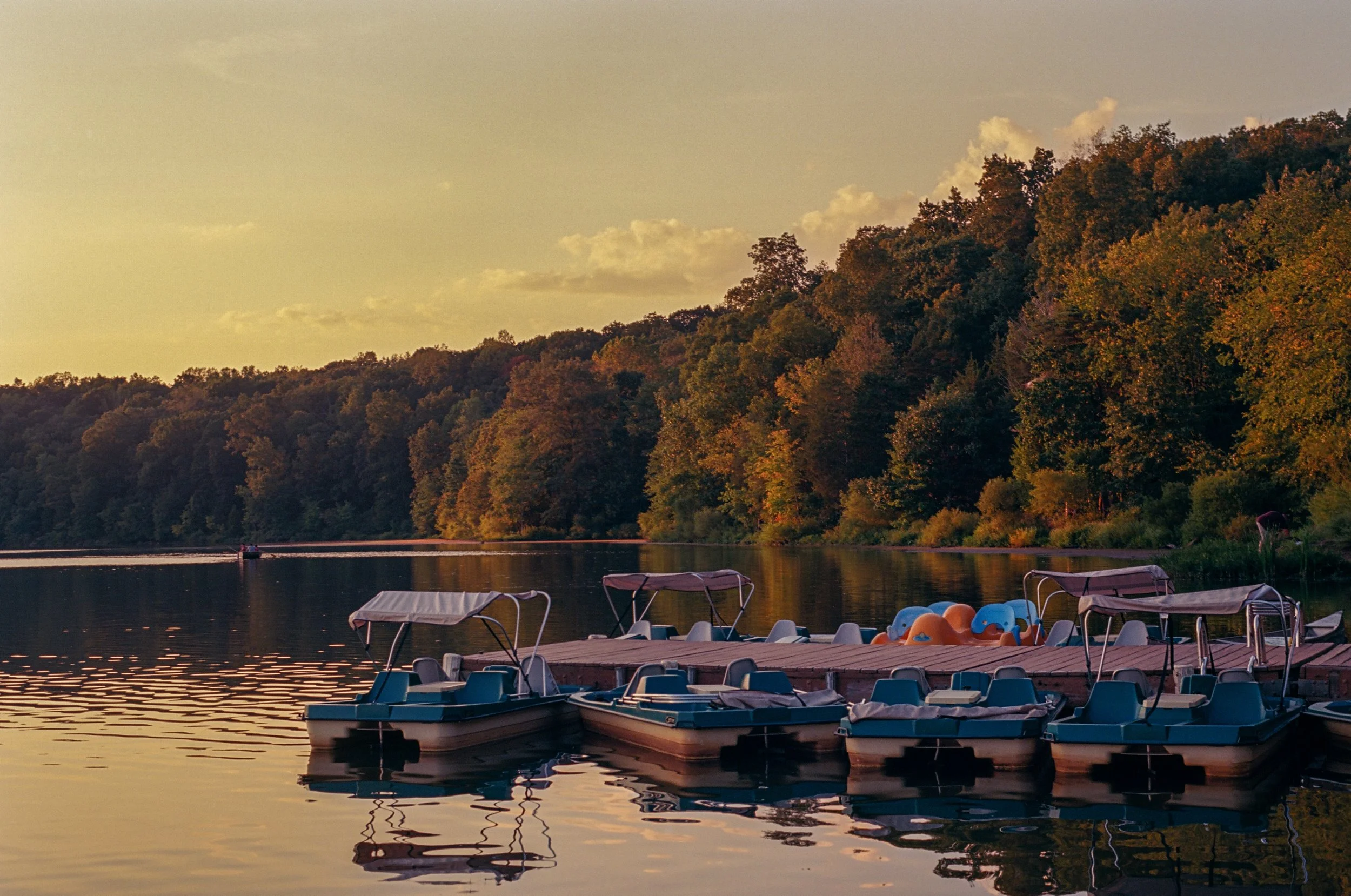 In The Country, Out The Country-Film (Limited Availability)