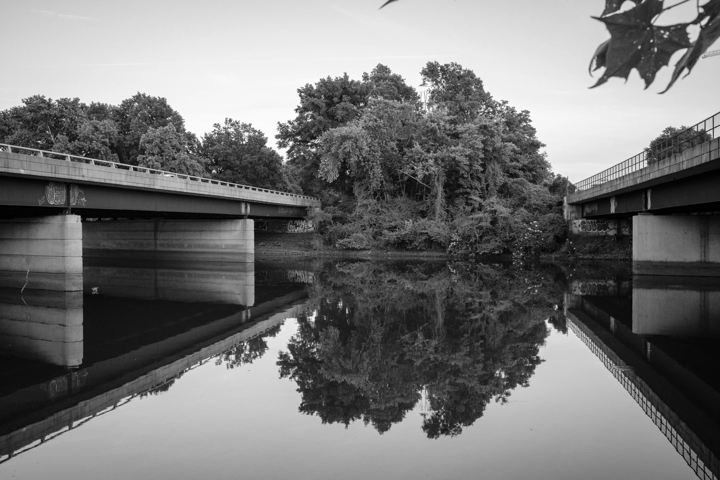 DSCF6180.JPG