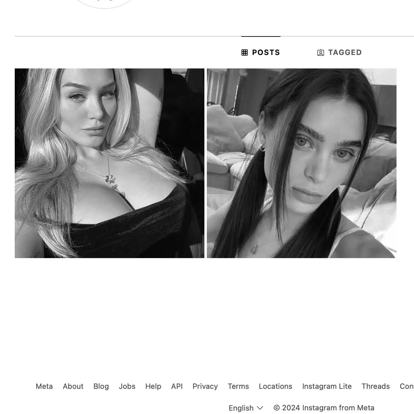 The Young Ladies of Instagram