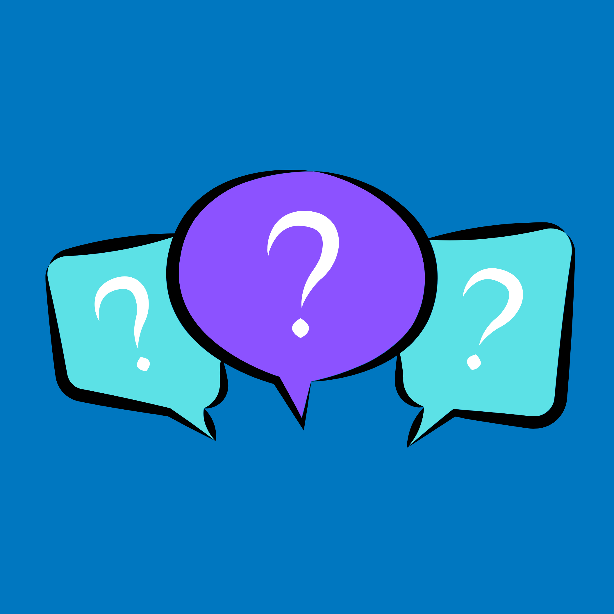 THE QUESTION