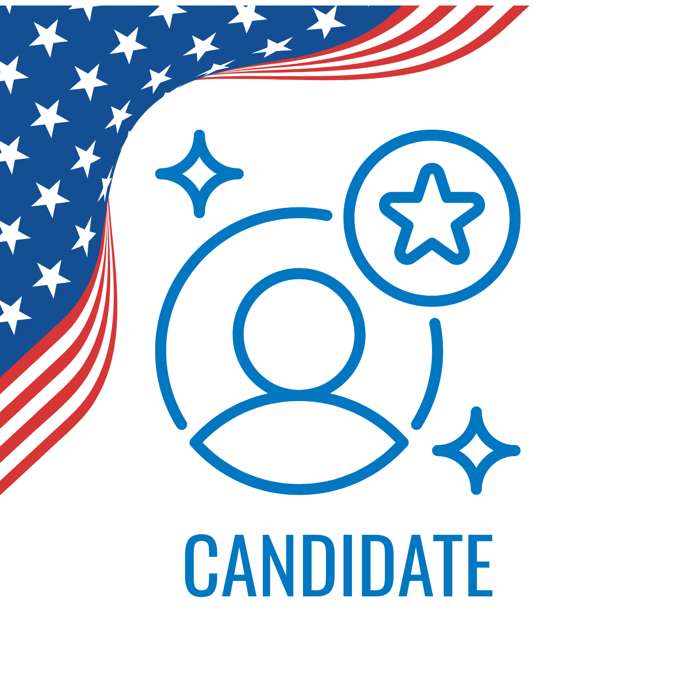 The Candidate Brief