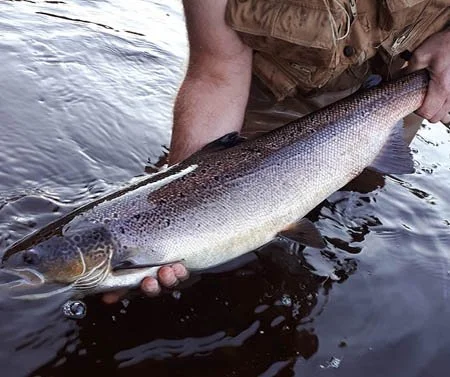 September 22nd, 2021