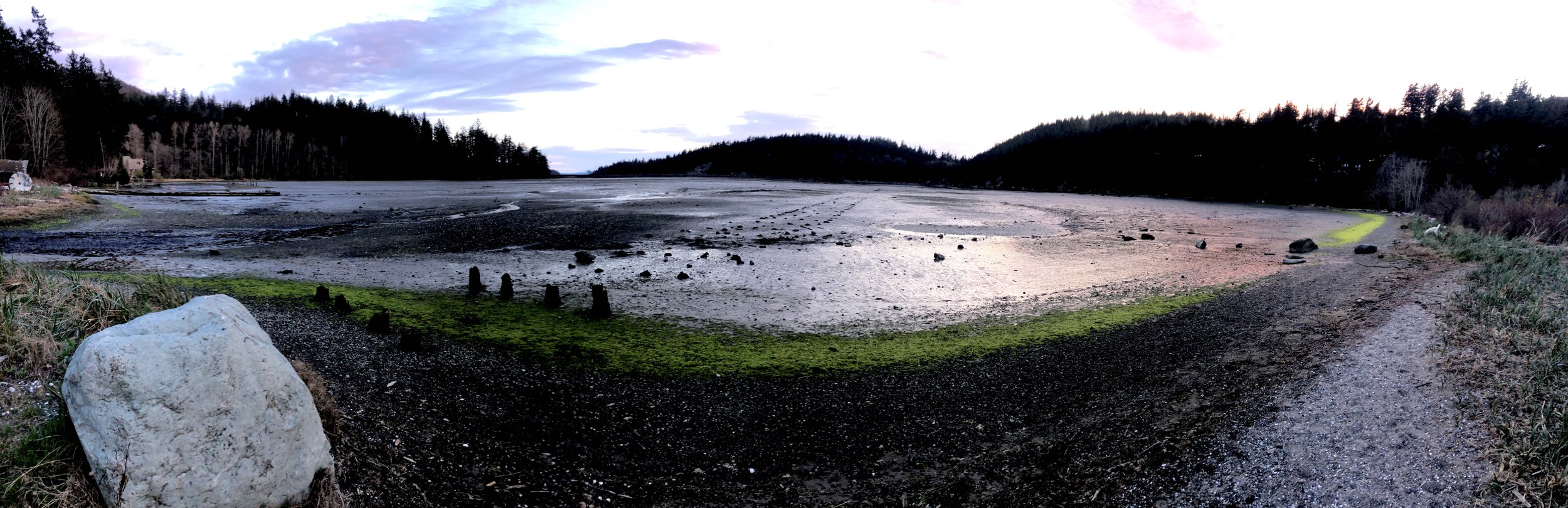 Back-to-Back Milestones