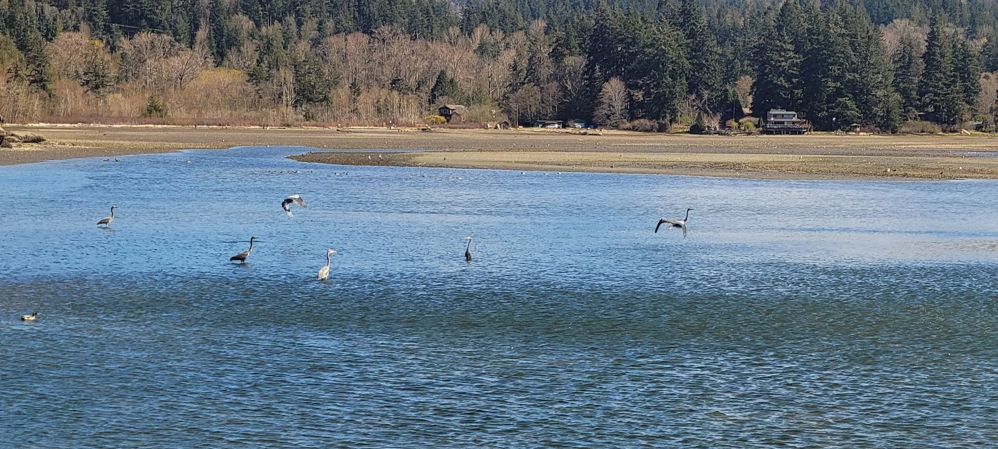 PMBC’s Final Closing Brief