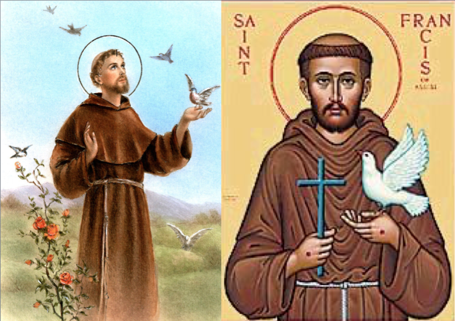 Saint Francis' Day Blessing of The Animals