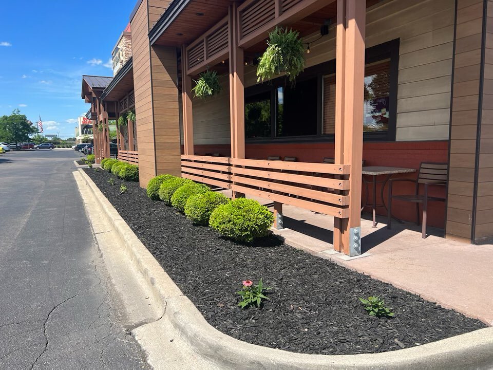 We completely cleaned out and got the whole front of out back done again this year ! But this year we went with black mulch and decided to add some sombrero orange cone flowers,wee white hydrangeas with the hanging ferns . 
(586)556-2146 
Enhanced-la