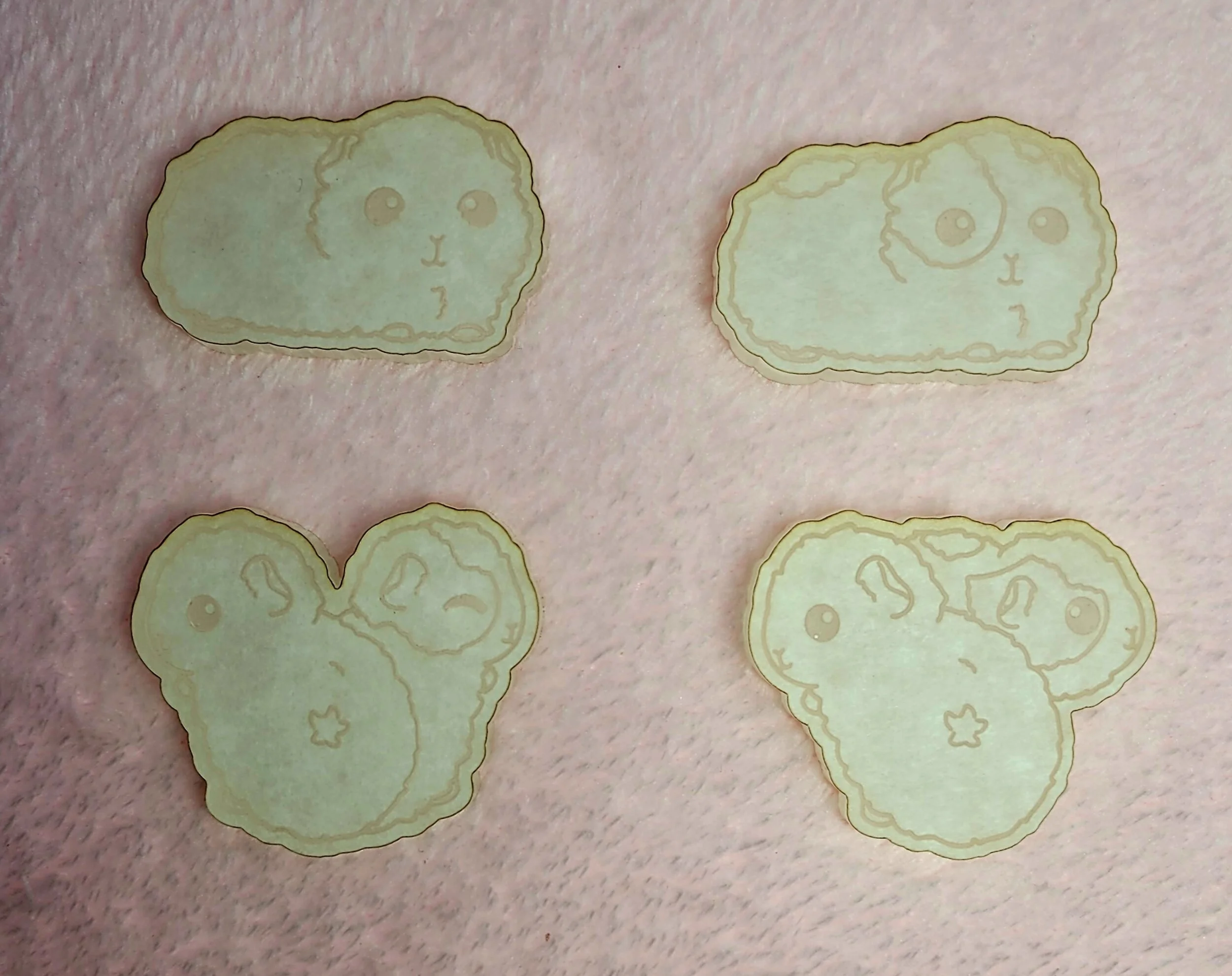 Fluffy Guinea Pig Flats