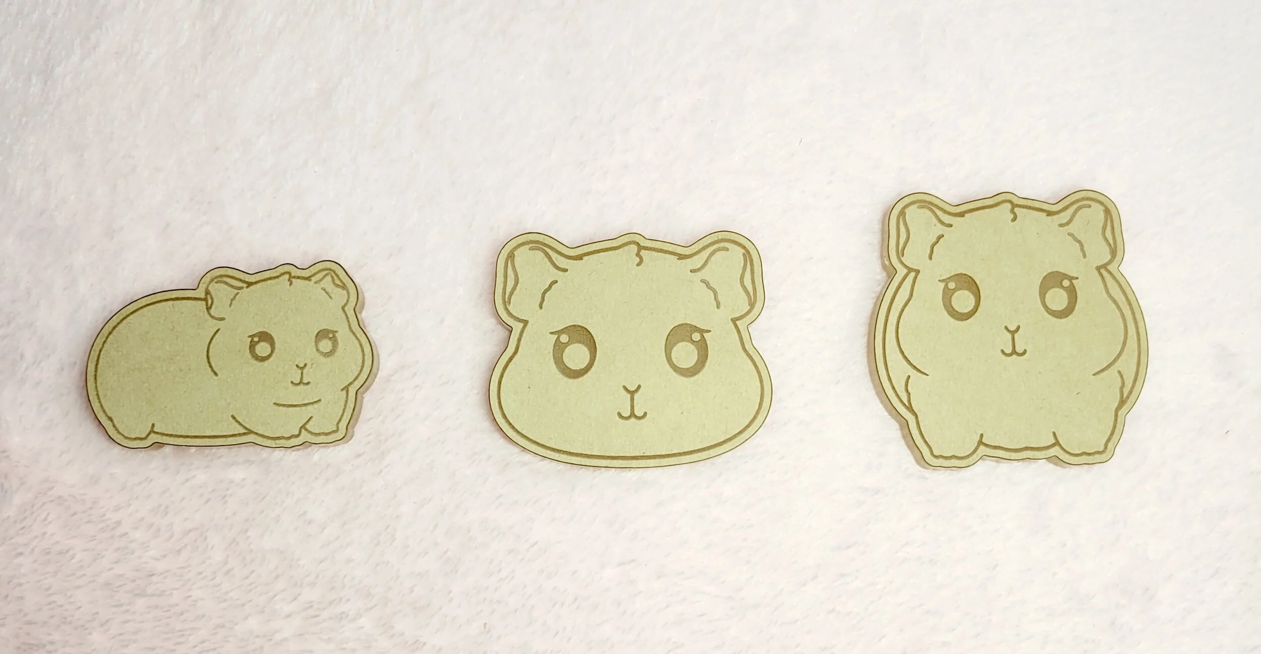 Teddy Bear Guinea Pig Flats