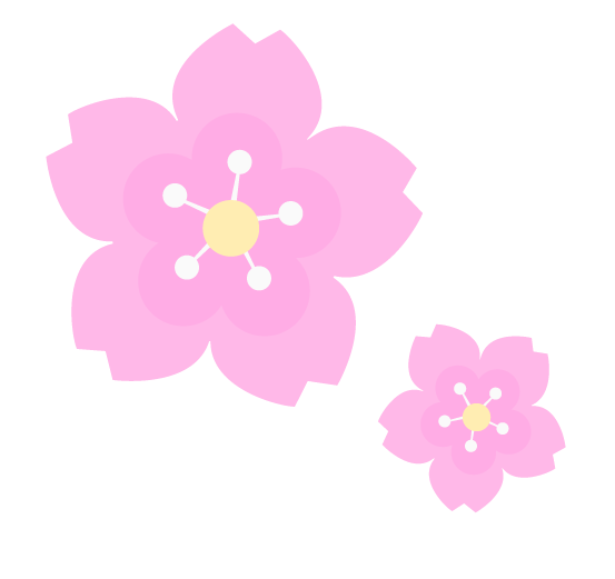 Simple illustration of two sakura blossoms.