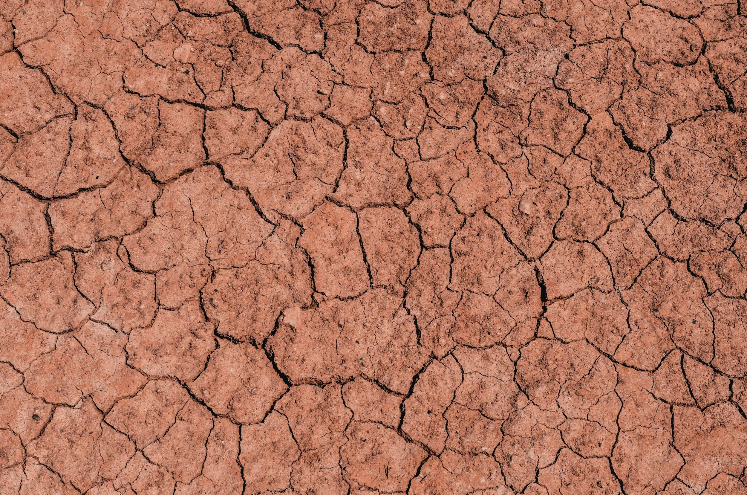 Foundation Design for Expansive Clay Soils: Slab-on-Grade vs. Raised Foundations