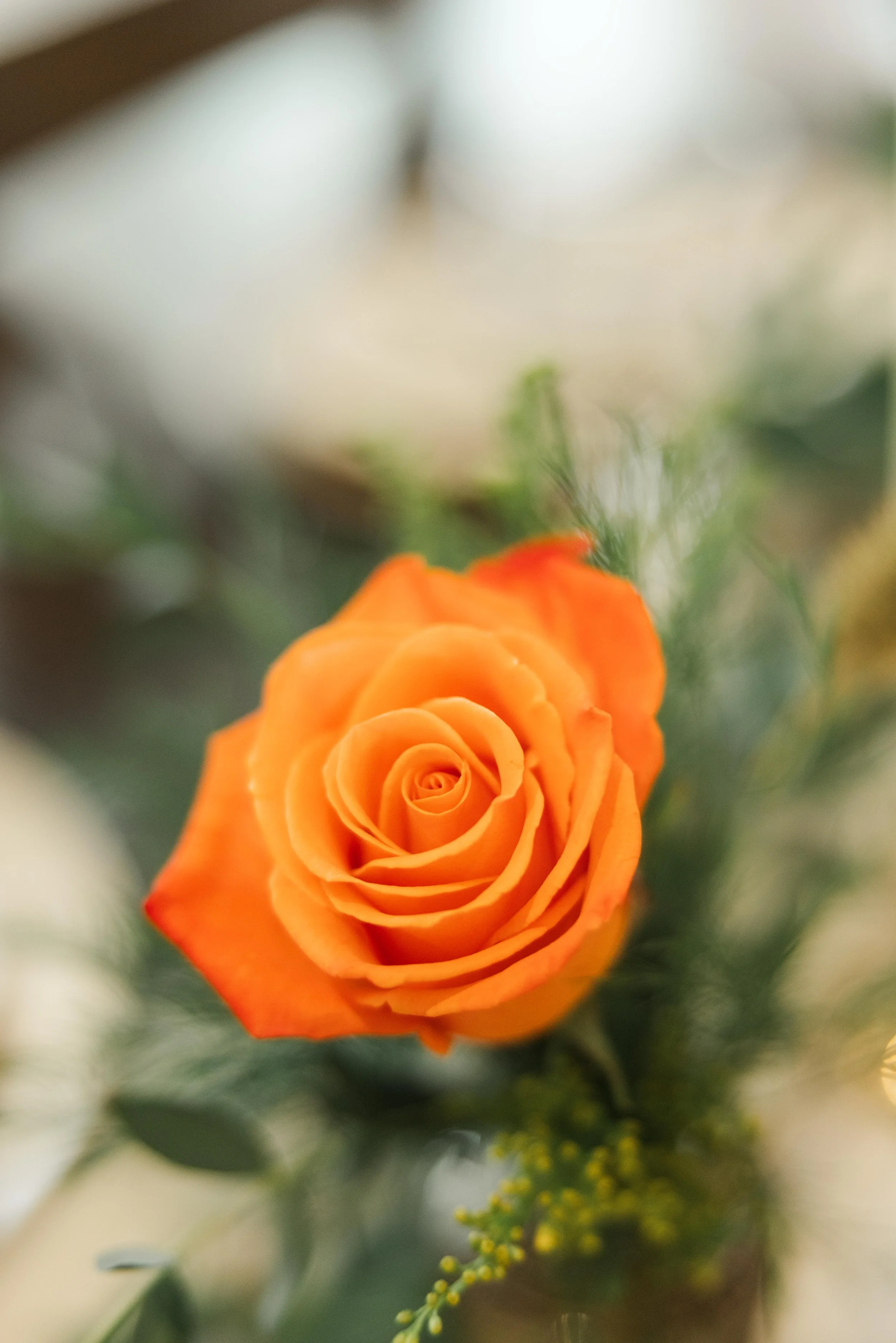 emergence photography columbus wedding photography