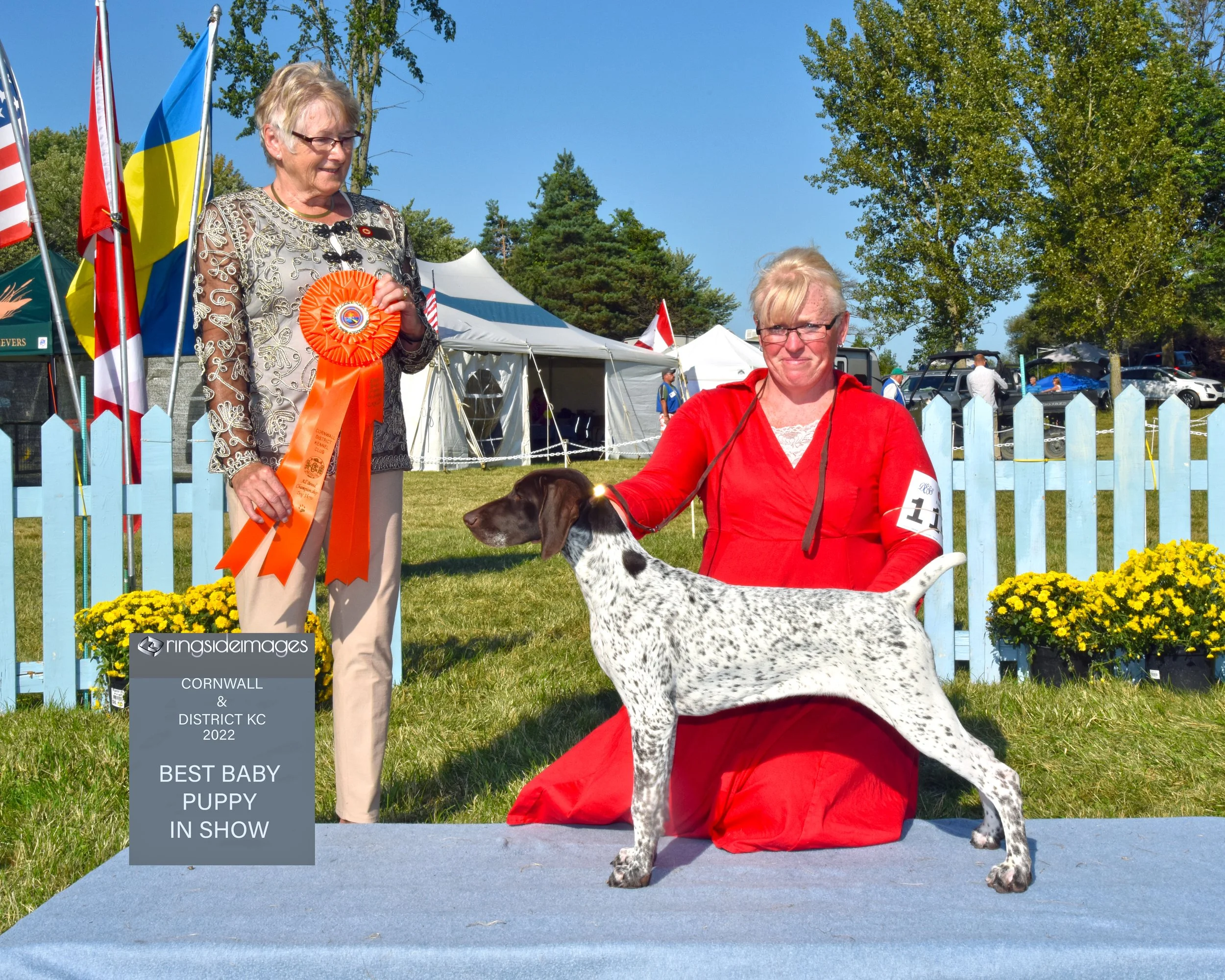 Cornwall Final Official 1.jpg