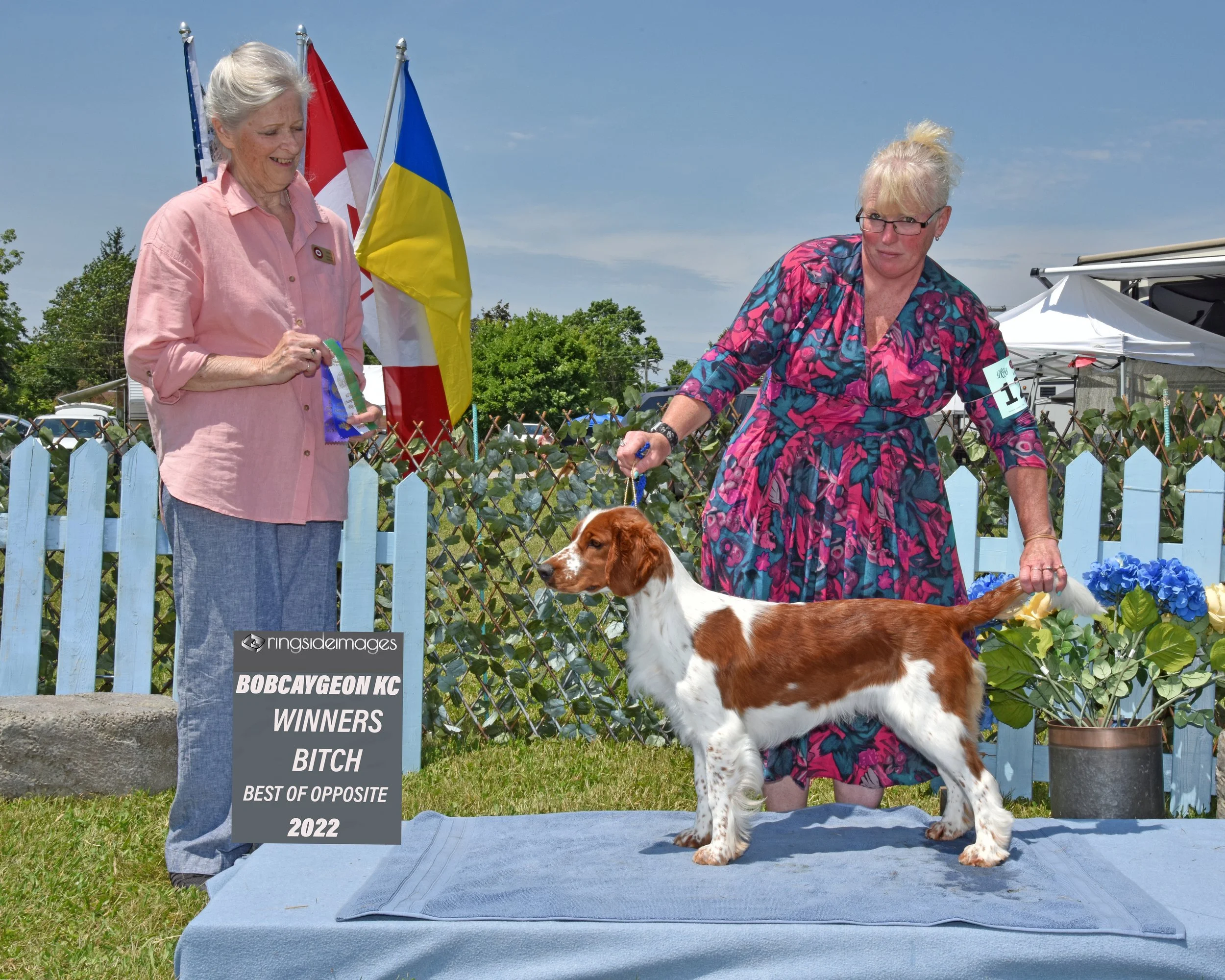 Bobcaygeon 2022.jpg