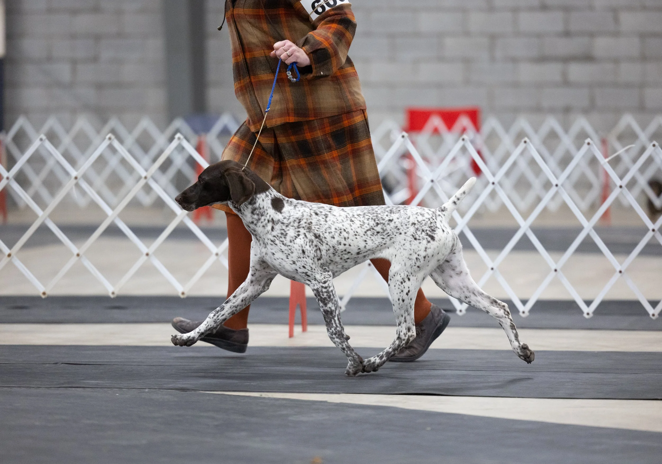 Flo Caledon Mvmt.JPG