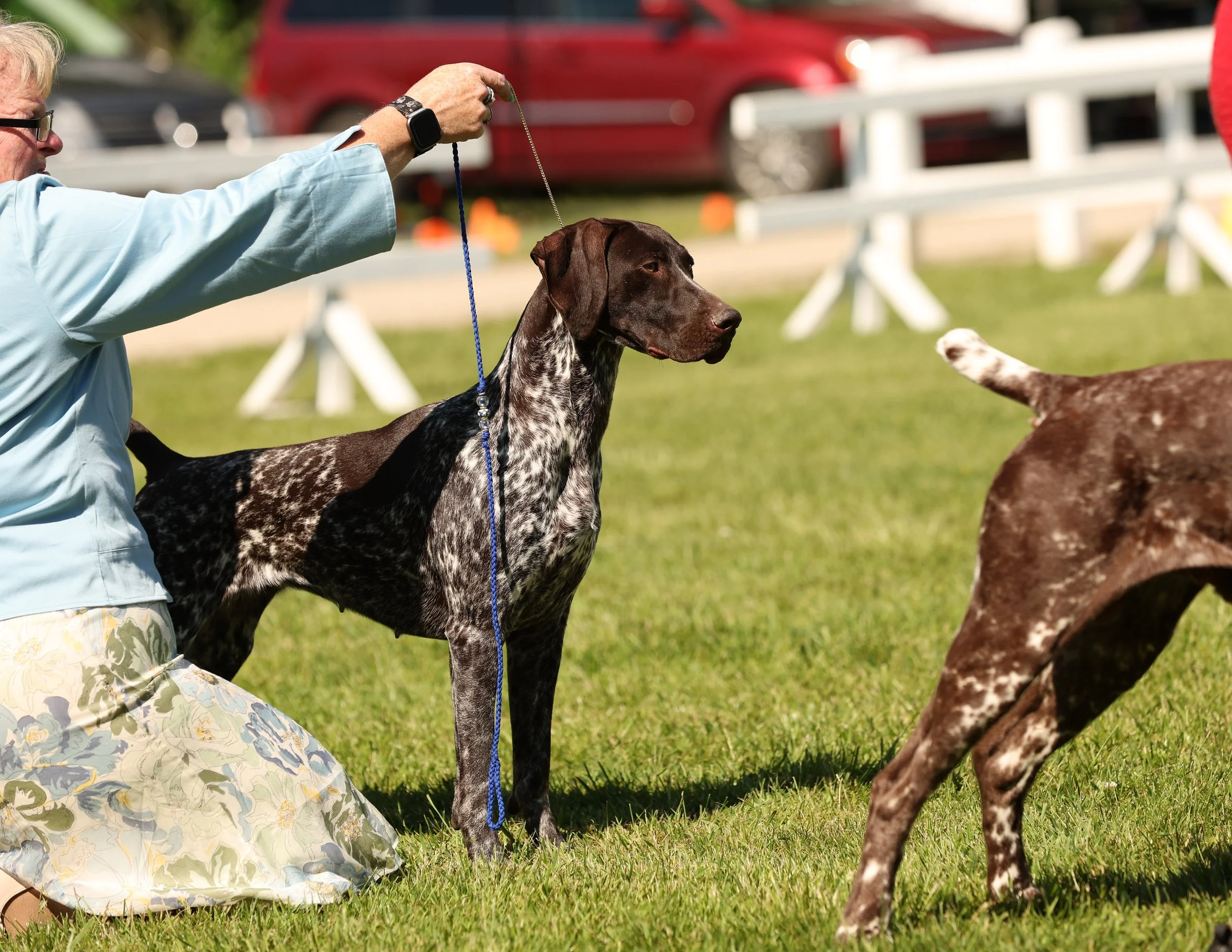 Vera Erie Shores.JPG