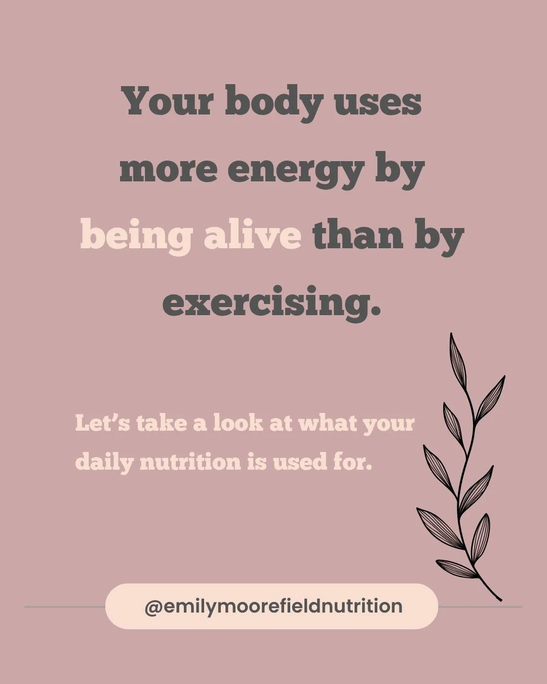 Listen up!! Your body does so much more thank you think. 

If you struggle with urges to restrict or compensate your food intake on days you don't exercise, this post is for you!

The majority of the fuel you provide to your body goes to keeping you 