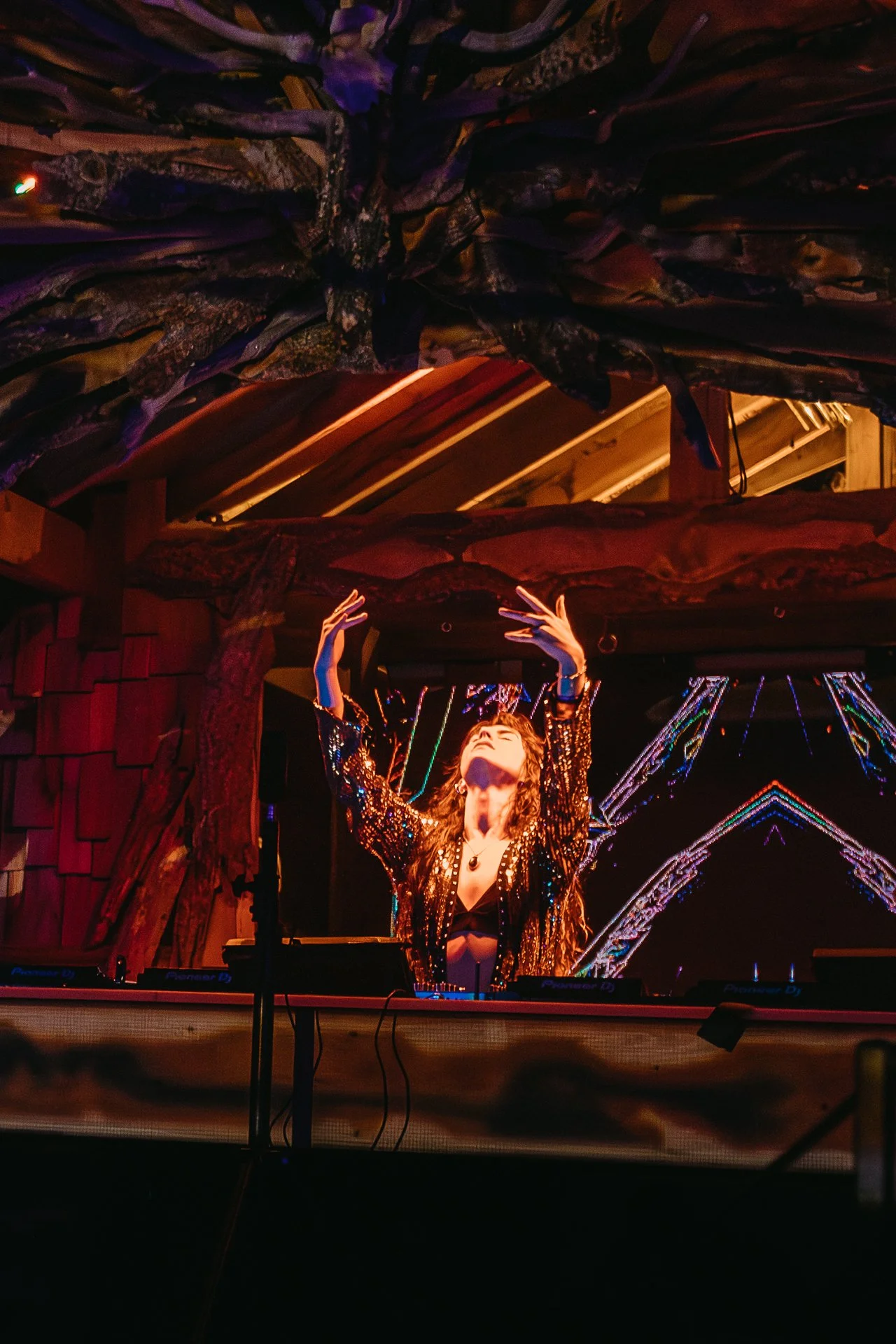 WICKED WOODS MUSIC FESTIVAL (coming soon)