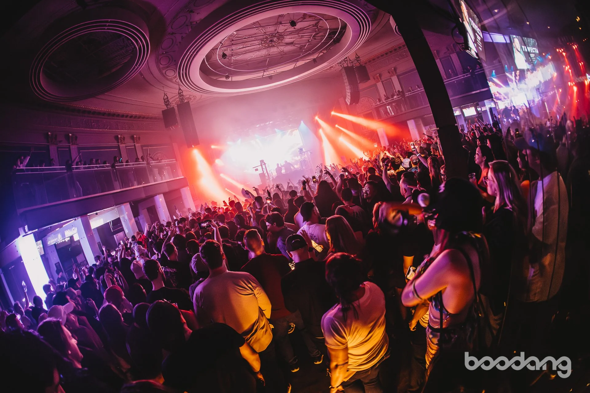 BOODANG-ADVENTURE CLUB-ARA.MEDIUM_-88.jpg