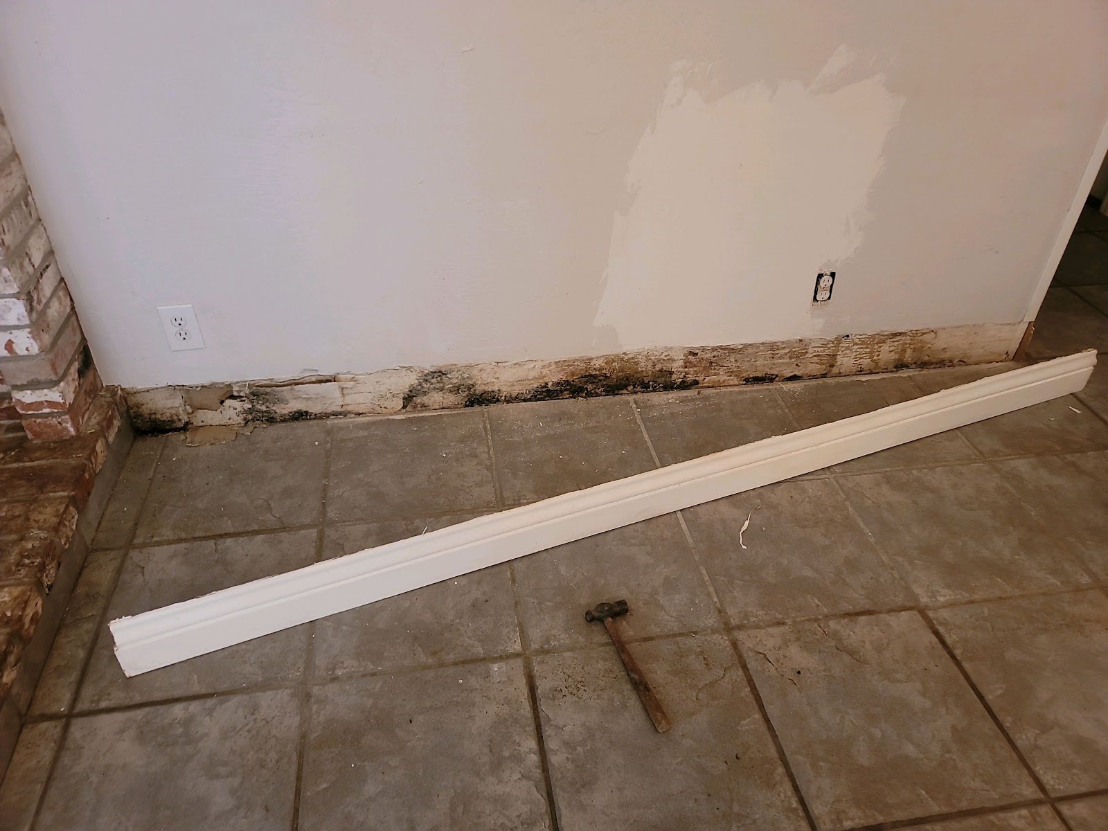 mold remediation7.jpg