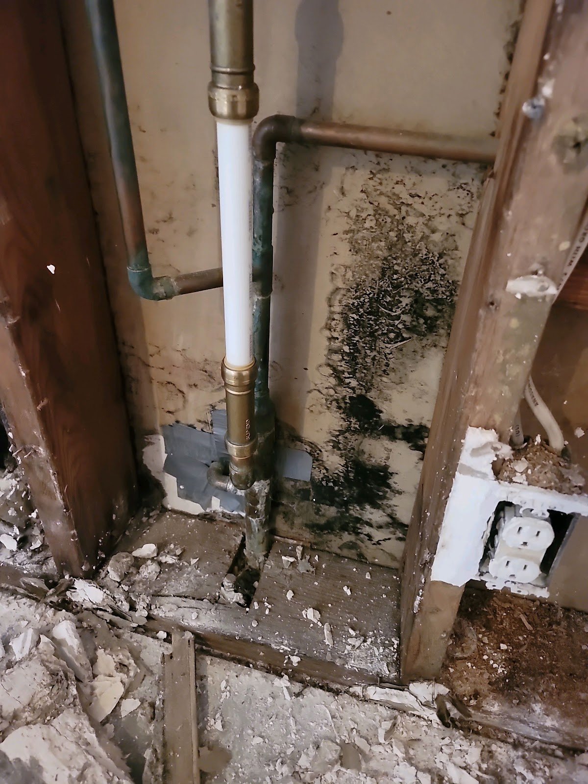 mold remediation10.jpg