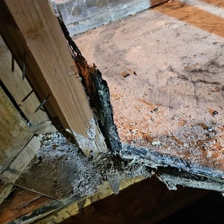 Restoring Strength After Wood Damage
